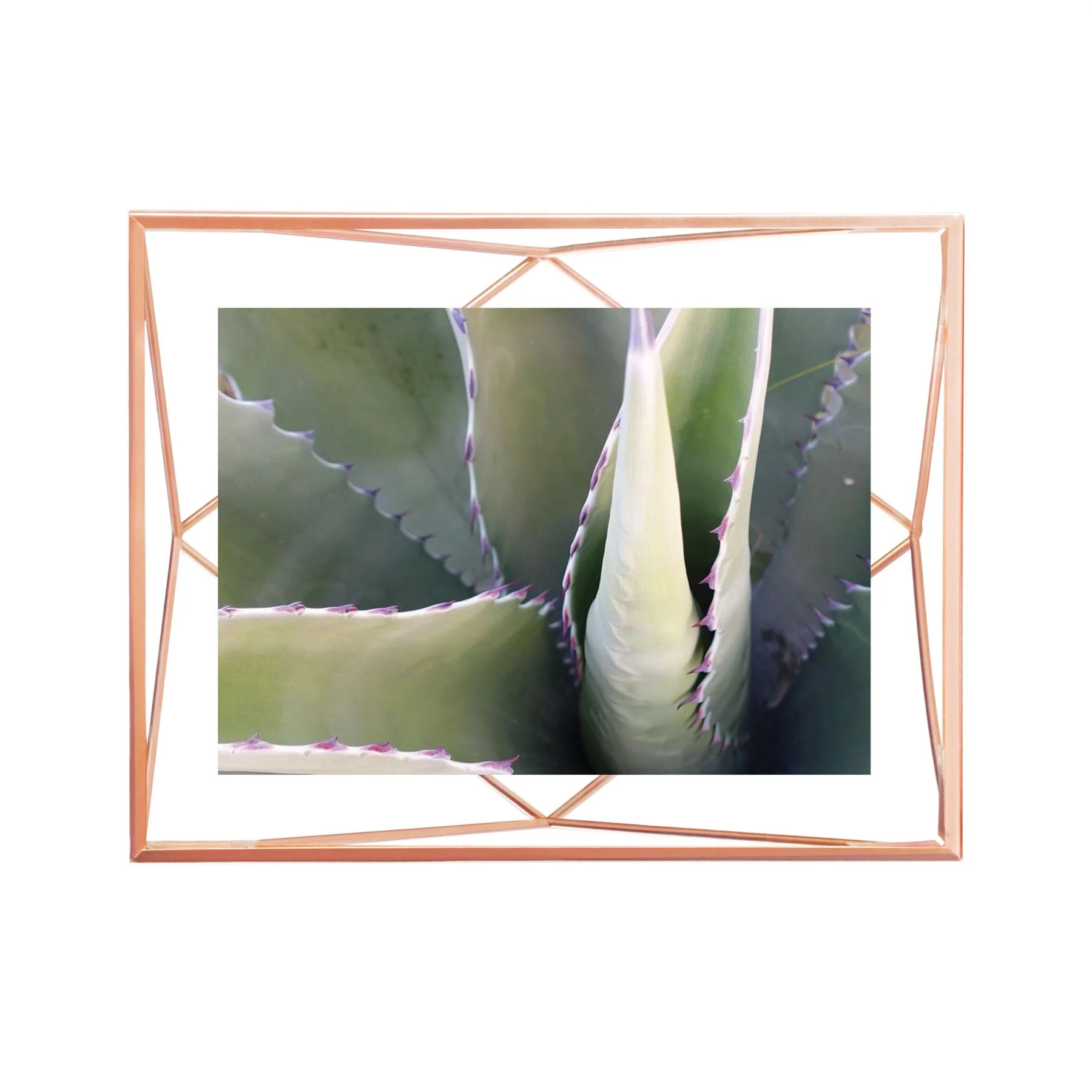 Product image 120